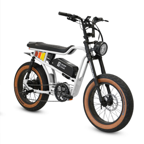PANTHRO E-BIKE